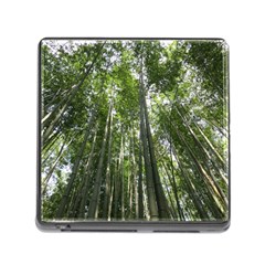 Bamboo Grove 1 Memory Card Reader (square) by trendistuff