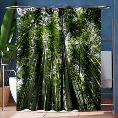 Bamboo Grove 1 Shower Curtain 60  X 72  (medium) 