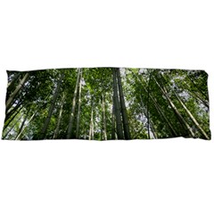 Bamboo Grove 1 Body Pillow Cases (dakimakura)  by trendistuff