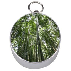 Bamboo Grove 1 Silver Compasses by trendistuff