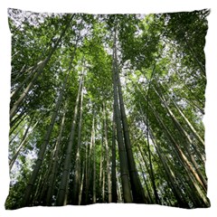 Bamboo Grove 1 Standard Flano Cushion Cases (two Sides) 