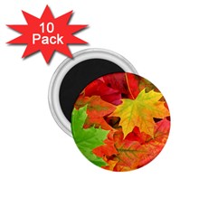 AUTUMN LEAVES 1 1.75  Magnets (10 pack) 