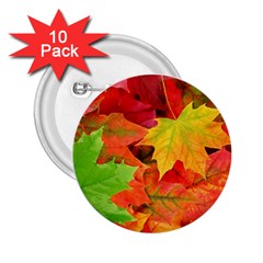 AUTUMN LEAVES 1 2.25  Buttons (10 pack) 