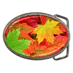 AUTUMN LEAVES 1 Belt Buckles