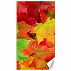 Autumn Leaves 1 Canvas 40  X 72   by trendistuff