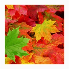 AUTUMN LEAVES 1 Medium Glasses Cloth