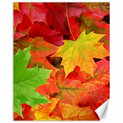 AUTUMN LEAVES 1 Canvas 11  x 14  