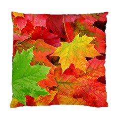 AUTUMN LEAVES 1 Standard Cushion Cases (Two Sides) 