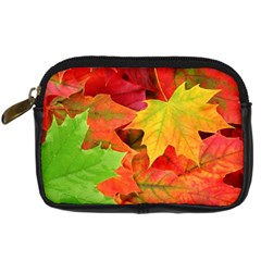 AUTUMN LEAVES 1 Digital Camera Cases