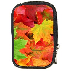 AUTUMN LEAVES 1 Compact Camera Cases