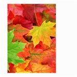 AUTUMN LEAVES 1 Large Garden Flag (Two Sides) Front