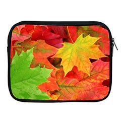 AUTUMN LEAVES 1 Apple iPad 2/3/4 Zipper Cases