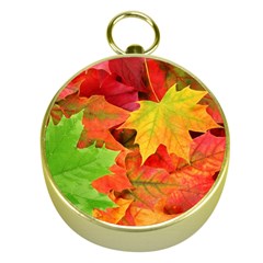 AUTUMN LEAVES 1 Gold Compasses