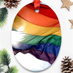 Pride Flag Ornament (oval)  by trendistuff