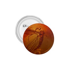 Mosquito In Amber 1 75  Buttons by trendistuff