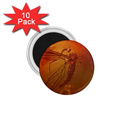 MOSQUITO IN AMBER 1.75  Magnets (10 pack) 