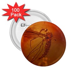 MOSQUITO IN AMBER 2.25  Buttons (100 pack) 