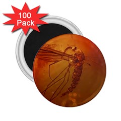 MOSQUITO IN AMBER 2.25  Magnets (100 pack) 