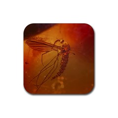 MOSQUITO IN AMBER Rubber Coaster (Square) 