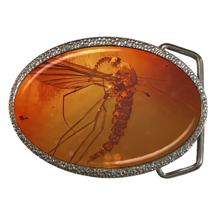 MOSQUITO IN AMBER Belt Buckles