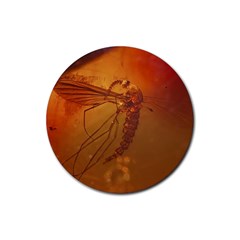 MOSQUITO IN AMBER Rubber Coaster (Round) 