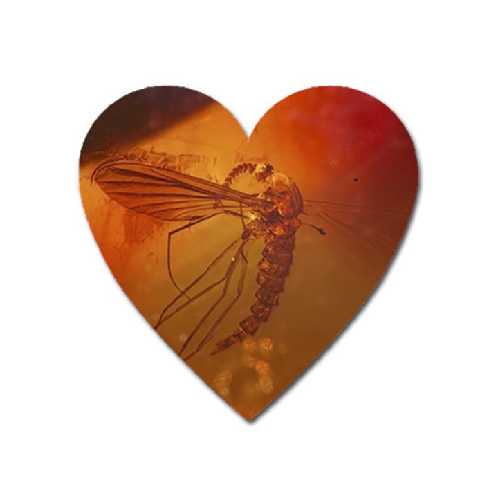 MOSQUITO IN AMBER Heart Magnet