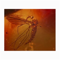 MOSQUITO IN AMBER Small Glasses Cloth