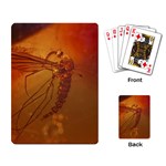 MOSQUITO IN AMBER Playing Card Back