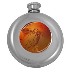 MOSQUITO IN AMBER Round Hip Flask (5 oz)