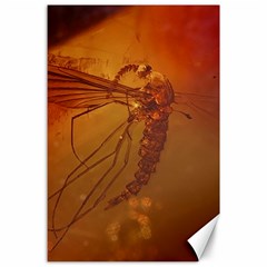 MOSQUITO IN AMBER Canvas 24  x 36 