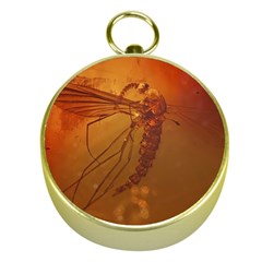 MOSQUITO IN AMBER Gold Compasses