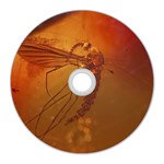 MOSQUITO IN AMBER CD Wall Clocks