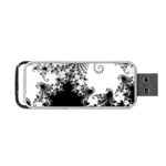 FRACTAL Portable USB Flash (One Side) Front