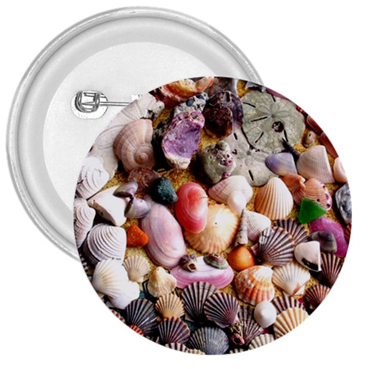 COLORFUL SEA SHELLS 3  Buttons