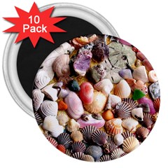 Colorful Sea Shells 3  Magnets (10 Pack)  by trendistuff