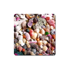 Colorful Sea Shells Square Magnet by trendistuff