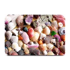 Colorful Sea Shells Plate Mats by trendistuff