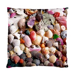 Colorful Sea Shells Standard Cushion Cases (two Sides)  by trendistuff