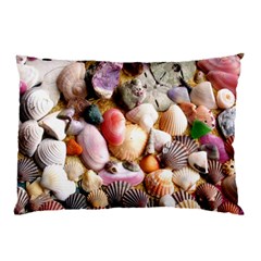 Colorful Sea Shells Pillow Cases by trendistuff