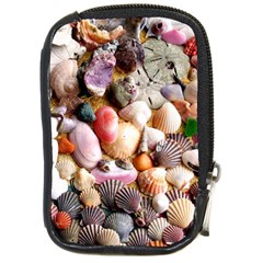 Colorful Sea Shells Compact Camera Cases by trendistuff