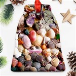 COLORFUL SEA SHELLS Bell Ornament (2 Sides) Front