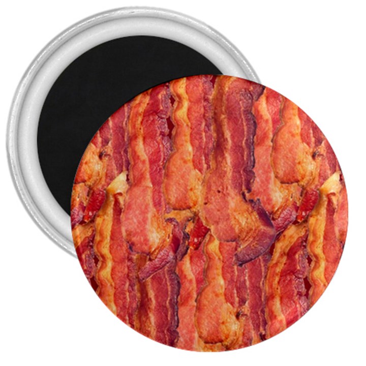 BACON 3  Magnets