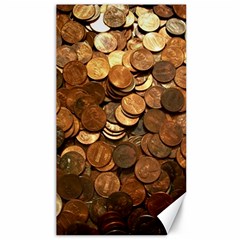 Us Coins Canvas 40  X 72   by trendistuff