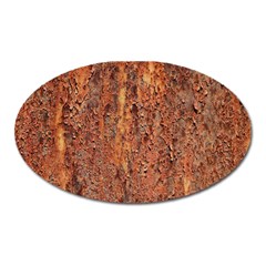 Flaky Rusting Metal Oval Magnet by trendistuff