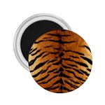 TIGER FUR 2.25  Magnets