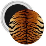 TIGER FUR 3  Magnets