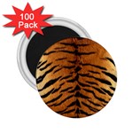 TIGER FUR 2.25  Magnets (100 pack) 