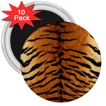 TIGER FUR 3  Magnets (10 pack) 