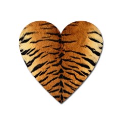 Tiger Fur Heart Magnet by trendistuff