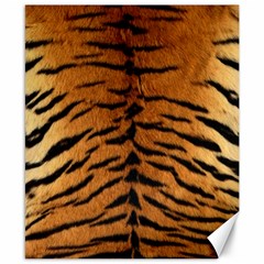 Tiger Fur Canvas 8  X 10  by trendistuff